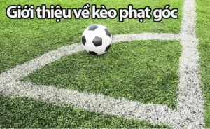 Khám Phá Bí Quyết Chơi Kèo Phạt Góc Bóng Đá: Cùng nhandinhkeonhacai.info Tìm Hiểu