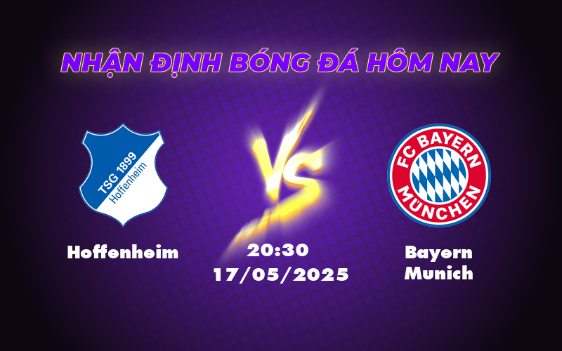 hoffenheim bayern munich 17 05 bundesliga