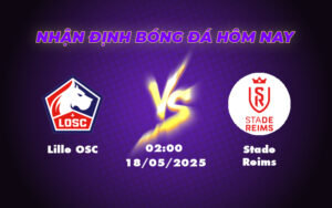 lille osc stade reims 18 05 ligue 1