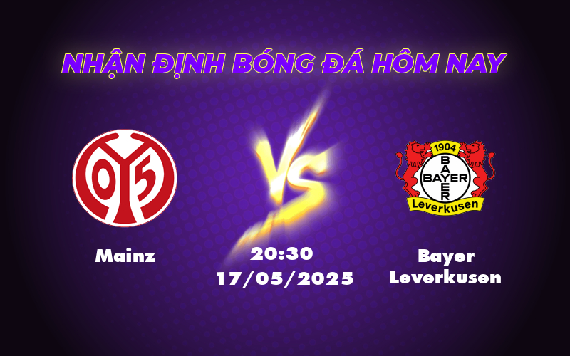 mainz bayer leverkusen 17 05 bundesliga